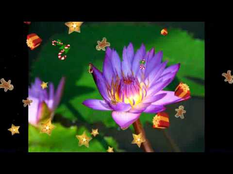 Excellos Five - Blue Evening Blues