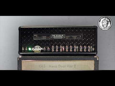 Mesa Boogie Dual Rectifier Kemper profiles (Goldlionaudio)