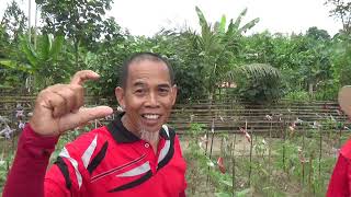 Download lagu SENAM KREASI PANGKALAN UMBAK,, Versi reramian 🤗😍 mp3 Download lagu SENAM KREASI PANGKALAN UMBAK,, Versi reramian 🤗😍 mp3