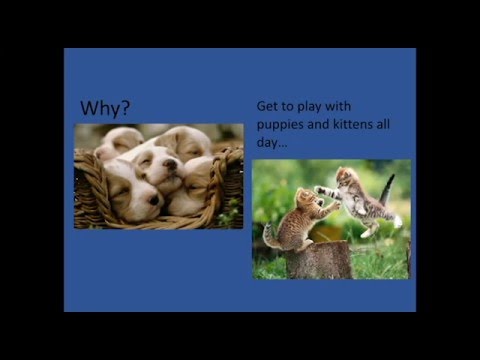 Pecha Kucha Dayton Vol 24 - Bethany Horn