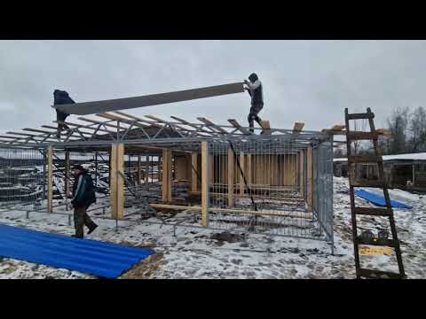 "A new home means safety and comfort for dogs"
