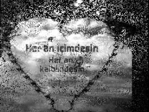 Seni Seviyorum Cünkü ...