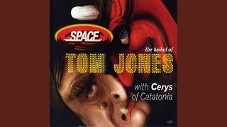 The Ballad Of Tom Jones (Cocktail Lounge Mix)