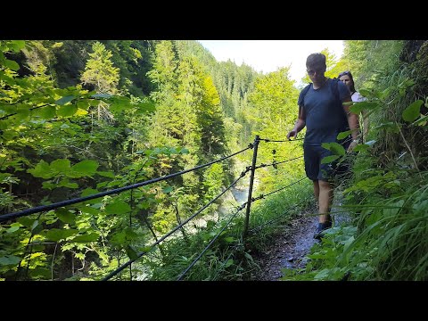 Tiefenbachklamm Gorge 2021 AUSTRIA • Real Time Virtual Walking Tour Ambience in 4K ASMR