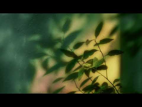 MaMan - Holding Tomorrow (Official Audio)