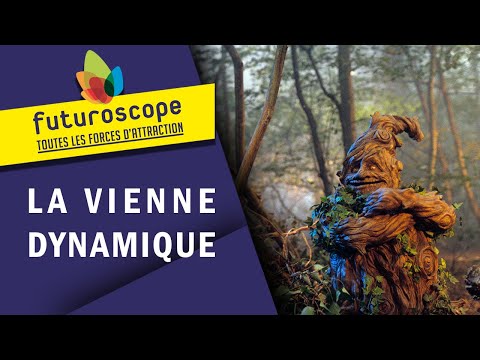 La Vienne Dynamique | Les attractions et spectacles