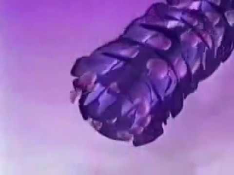 Sedal Ceramidas 20s - Chile, 1997