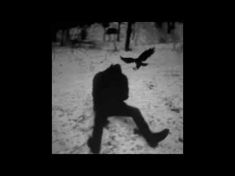 [FREE] DOLI X MEJT X SOMAI TYPE BEAT „KOLEJNOŚĆ“ | [PROD.ZDVCHAM]