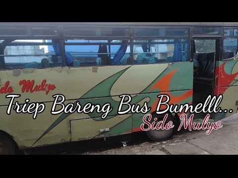 BUS BUMEL SIDO MULYO || Trip Tulung agung-Blitar