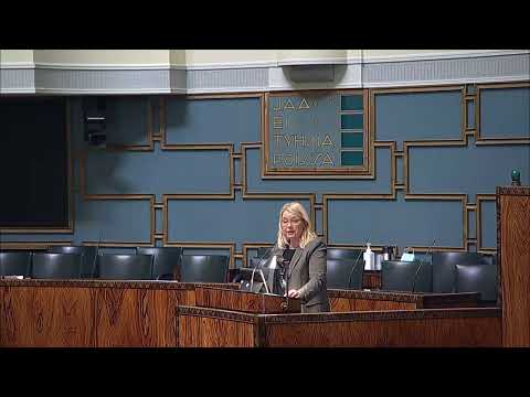 Leena Meri perussuomalaiset Nato kanta