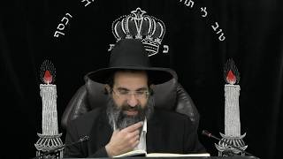 מסכת בבא בתרא - דף טו. - טו: | חלק 30 | הרב שי עובד (הרב שי עובד) - התמונה מוצגת ישירות מתוך אתר האינטרנט יוטיוב. זכויות היוצרים בתמונה שייכות ליוצרה. קישור קרדיט למקור התוכן נמצא בתוך דף הסרטון