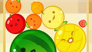 【雑魚プレイヤーが頑張ってスイカゲームをやってみた😗】