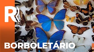 Miniatura do vídeo