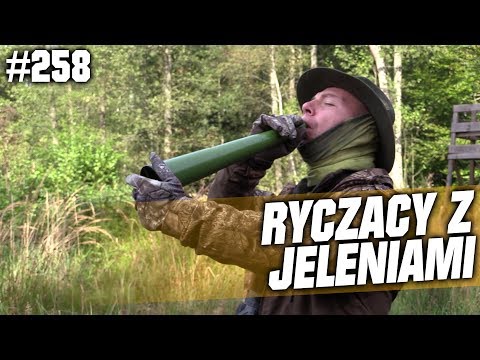 Darz Bór odc 258 - Ryczący z jeleniami