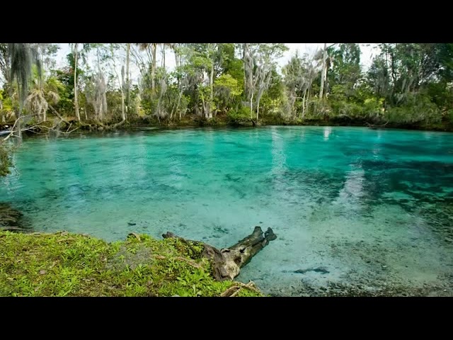 Vídeo relacionado con ONO Slider - Juguete de mano para adultos | Ayuda a aliviar el estrés, la ansiedad, la tensión | Promueve el enfoque, la claridad | Diseño compacto y portátil (negro - aluminio)