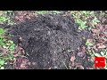 Molehills