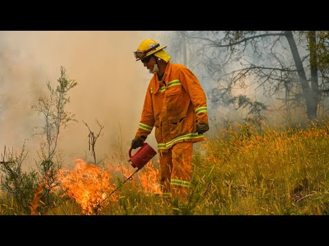 Paul Ramsay foundation to donate $30m to bushfire relief