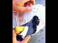 Homing Pigeons Flying Whistle Good Tools And Machinery Make Work Easy