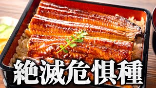 計算上、数が合わないもの【四国のピンネタ】