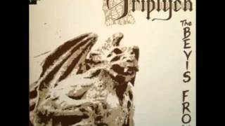 The Bevis Frond - Tangerine Infringement Beak