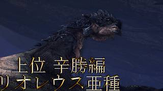 【切り抜き】限界までやり続けた後のMONSTER HUNTER WORLD：ICEBORNE リオレウス亜種 上位 辛勝編