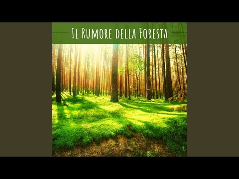 Il potere della natura