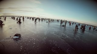 Зимняя рыбалка ладожского озера 2019