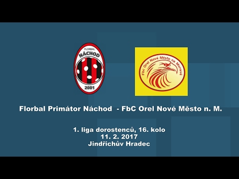 11. 2. 2017, Dorostenci, Náchod - Nové Město na Moravě