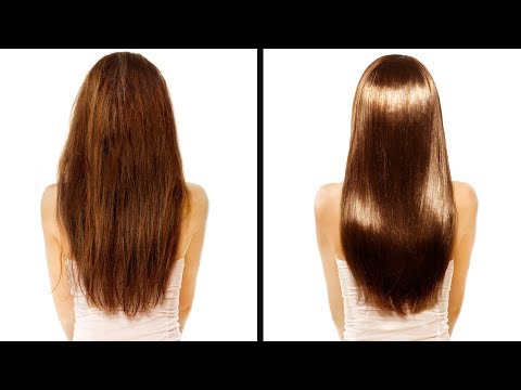 download lagu mp3 mp4 No Poo Long Hair, download lagu No Poo Long Hair gratis, unduh video klip No Poo Long Hair