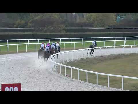 2019.11.03. 04. futam - BÁRÓ ORCZY LŐRINCZ EMLÉKVERSENY HENDIKEP (III.o.) (szintetikus pálya)
