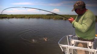 Fly Fishing Film Tour - The Heart of the Marsh - Fly Fishing Coastal Marsh Land
