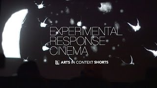 Experimental Response Cinema
