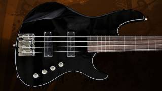 Jazz Custom Fretless 4 Cordas| Bartolini Pickups | Mauricio Oliveira _ Bass Demonstration