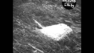 Sons Of Woods - In The Fog
