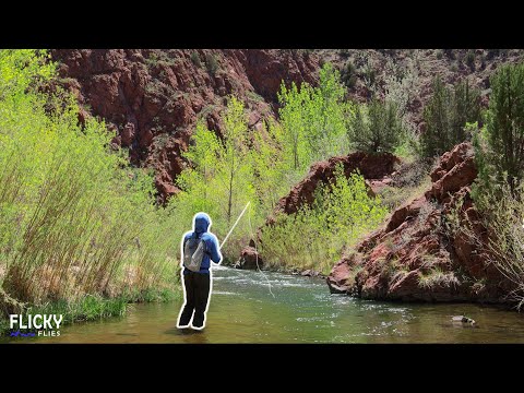 Fishing the Orvis 4 Weight Superfine Graphite Was Sublime (Until I Broke Thousands in Camera Gear)