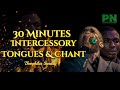 THEOPHILUS SUNDAY | 30 MINUTES INTERCESSORY TONGUES & CHANT PRAYER SESSION