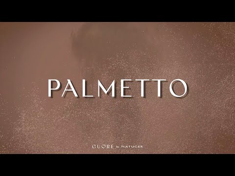 Imagen representativa video