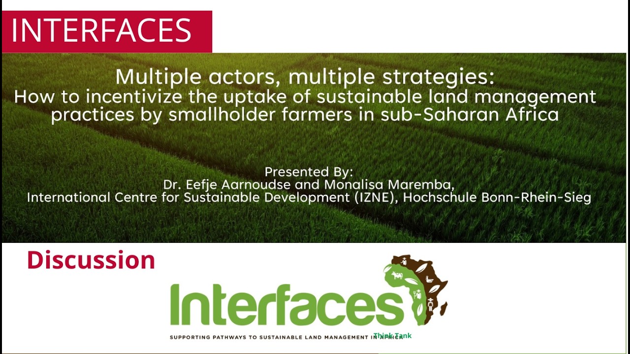 Study on incentive strategies in Ghana | Discussion | Aarnoudse Maremba | INTERFACES