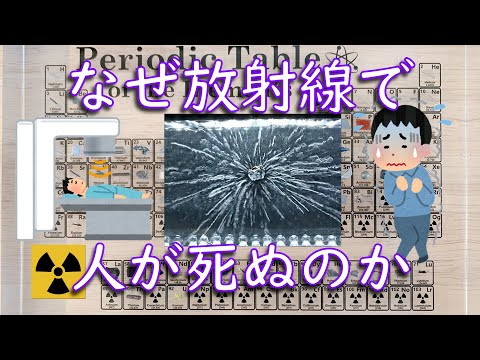 急性放射線症候群について詳しく解説
