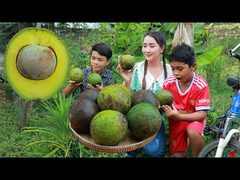 Big Avocado Preparing - Smooth Avocado Drinking And Avocado Dessert - Spicy Sea Mushroom Recipe