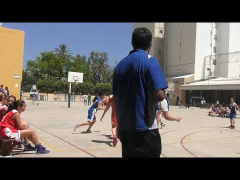 Videocrónica Infantil B Femenino Cb Maristas Vlc - Don Bosco (Torneo 20 Horas 2016)