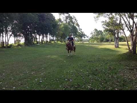 Butiá Tango, filho Santa Elba Comediante!