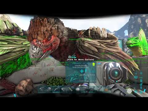 ARGENTAVIS BREEDING! MUTATED ARGENTAVIS TWINS!!! Ark: Survival Evolved (Ragnarok Map)