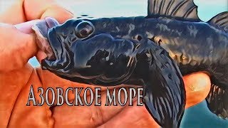 Рыбацкие снасти для ловли рыбы в азовском море