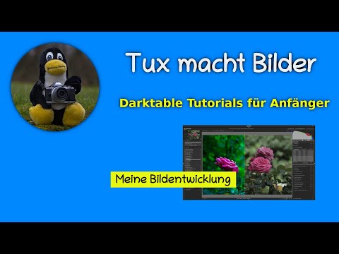 My image development with Darktable 3.6