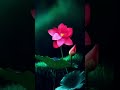 Poovaivirinju Adharvam MG Sreekumarsongs Malayalam Status Video Youtubeshorts