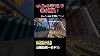 【マイクラ鉄道】巨大な都市に鉄道を作る！