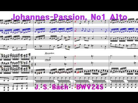 Johannes Passion , No1 Alto Practice