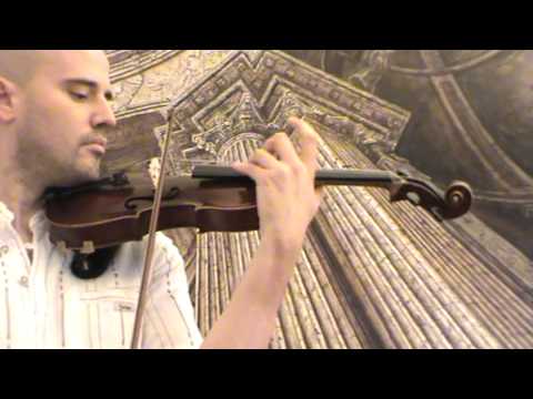 FINE OLD GERMAN VIOLIN Anton Schroetter バイオリン скрипка 小提琴 098