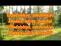 Pitong Gatang By Fred Panopio Lyrics